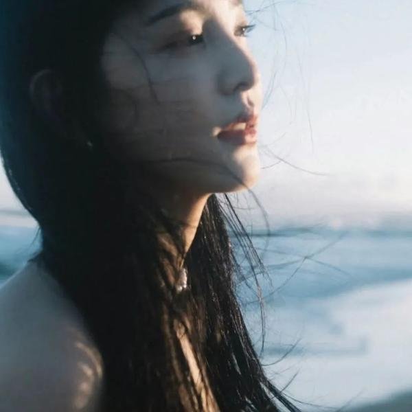 继承者风云